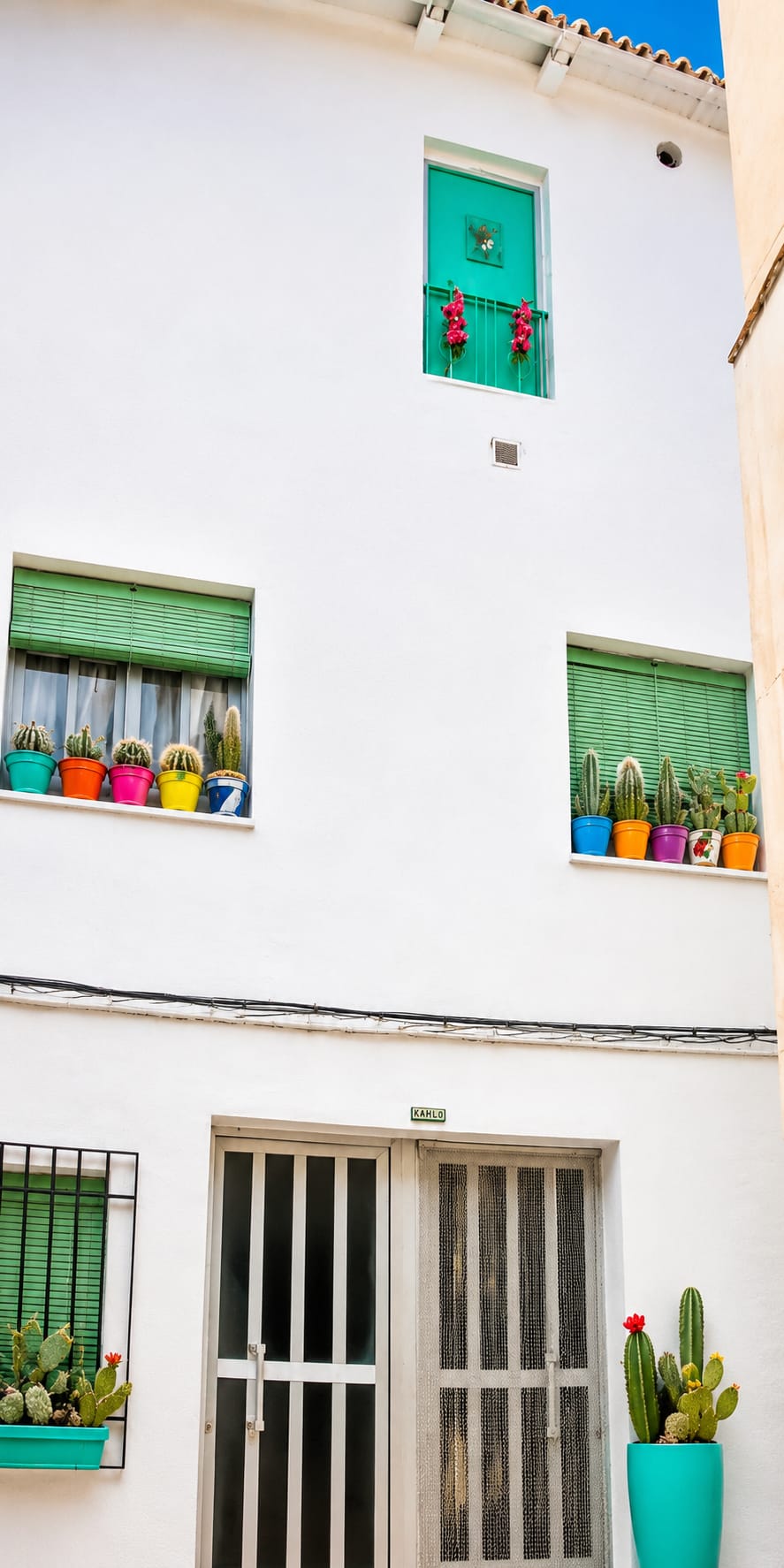 Hostel Kahlo — colourful cactus pots on a windowsill in Sierro, Andalucía
